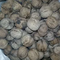 گردو|خوردنی و آشامیدنی|دوزین, |دیوار