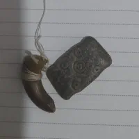 مهره شفا دهنده بیماری جذب