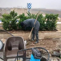 هرس کاشت گل وگیاه باغبانی|خدمات باغبانی و درختکاری|تهران, جنتآباد جنوبی|دیوار