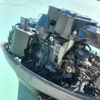 با سلام قایق ۴۰ تخم مرغی اصل ژاپن به شرط باز