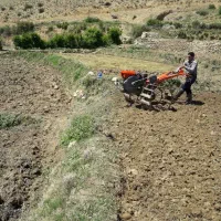 تیلر 13 دای دنگ