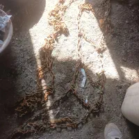 زنجیرچرخ خاور|قطعات یدکی و لوازم جانبی|مشهد, نیزه|دیوار