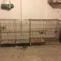 فروش گنجه قفس پران