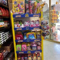 جذب بازاریاب و ویزیتور خانم لاهیجان