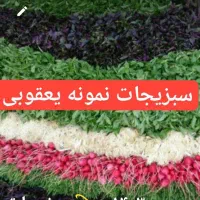 سبزیجات نمونه یعقوبی