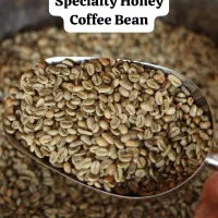 عمده دانه سبز قهوه EK AA واردکننده مستقیم