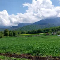 باغ آماده ۵۷۴ متر شموشک بالا(قیمت مناسب)|فروش زمین و ملک کلنگی|گرگان, |دیوار