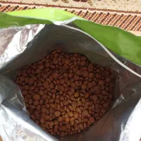 غذا خشک سگ|لوازم جانبی حیوانات|همدان, |دیوار