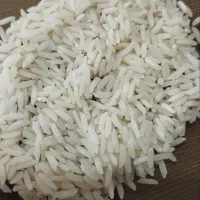 برنج هاشمی آستانه اشرفیه درجه یک ممتاز