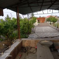 فروش قطعه باغ ۸۰۰ متری مناسب سرمایه گذاری|فروش خانه و ویلا|گلمکان, |دیوار