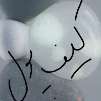 کیف پول گم کردم