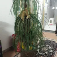 درخت نخل مصنوعی