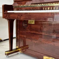 صدای زندگی درفضای شمامتنوع ترین پیانوهااقساطی|پیانو، کیبورد، آکاردئون|اصفهان, فیض|دیوار