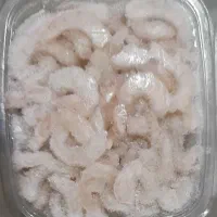 میگوسرتیز