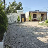 باغ-انگور-داربستی