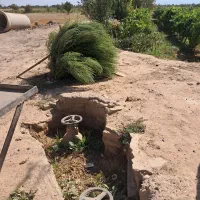 زمین باغی سند تکبرگ سند تهاتر با خودرو یا اقساط|فروش دفتر صنعتی، کشاورزی، تجاری|تاکستان, |دیوار