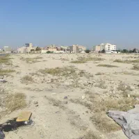 293متر-زمین-سند-تک-برگ-مسکونی