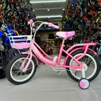 دوچرخه ۱۶دخترچشم ابرو مشکی(غلامی)