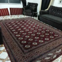 فرش|فرش|گرگان, |دیوار