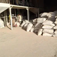 دوکوب پوست چلتوک|عمدهفروشی|درودزن, |دیوار