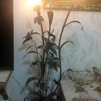 اباژور