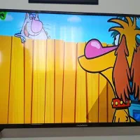 ال ای دی ۴۳ اینچ دوو درحدنو نو|تلویزیون و پروژکتور|همدان, |دیوار