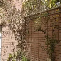 114متر-منزل-مسکونی-بازسازی-شده-بزرگراه-خرم
