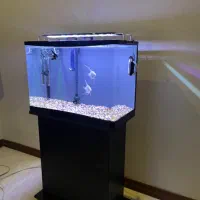 اکواریوم ۶۰در۴۰