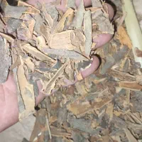دارچین شکسته به صرفه