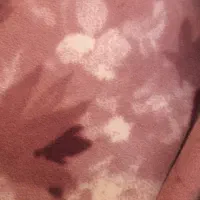 موکت