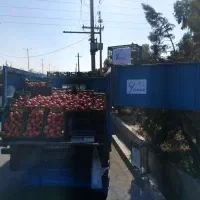 نیسان جونیور مدل62.|خودرو سواری و وانت|رباطکریم, رباطکریم|دیوار