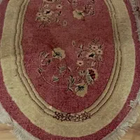 پادری بیضی