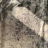 کاور فرش (روفرشی) مخمل ۴ متری