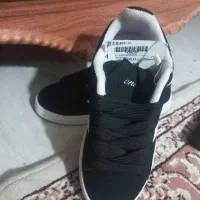 کفش|کیف، کفش، کمربند|تبریز, |دیوار