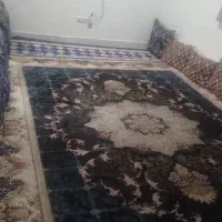 اجاره سوئیت ۵۵ متری محله ۲۲ بهمن کوچه پونه ۲۱|اجارهٔ خانه و ویلا|بندرعباس, |دیوار