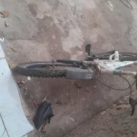 دوچرخه ۲۶|دوچرخه، اسکیت، اسکوتر|قزوین, |دیوار