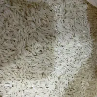 برنج  هاشمی گیلان