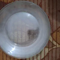 بشقاب وکاسه