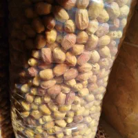 قصب سفید تازه|حراج|خفر, |دیوار