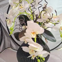 گل ارکیده ناب ناب