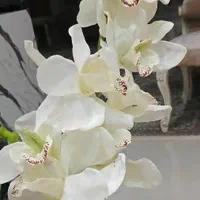 فروش گل ارکیده لمسی ۱۵ شاخه لوکس