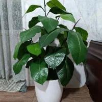 گل مصنوعی|گل مصنوعی|مشهد, امامیه (شهرک غرب)|دیوار