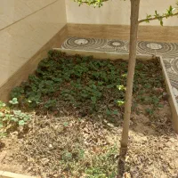 اجاره منزل نوساز شیک در فردوسی|اجارهٔ خانه و ویلا|مرند, |دیوار
