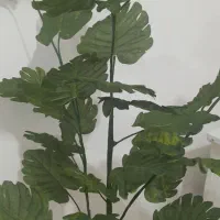 گل مصنوعی|گل مصنوعی|سنندج, |دیوار