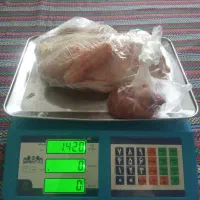 اردک محلی کشتارشده