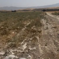 زمین کشاورزی و باغی ،فروش فوری