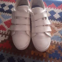 کیف درحدنو ۱۰۰|کیف، کفش، کمربند|آستانه اشرفیه, |دیوار