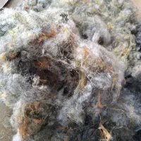 الیاف اقتصادی رنگی