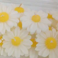 شمع گل بابونه وارمرگیفت شب انار یلدابرای مدرسه