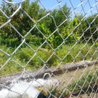 باغ نقلی|فروش خانه و ویلا|میاندوآب, |دیوار